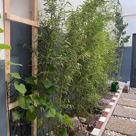 Y Hoa-ferienzimmer * Artern