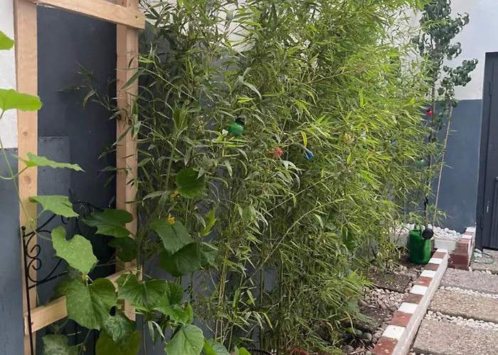 Y Hoa-ferienzimmer * Artern